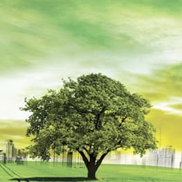 Instalaciones con criterios de eficiencia ambiental